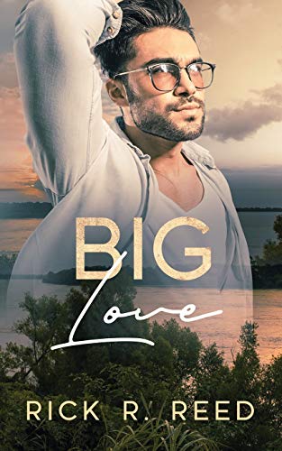 Big Love book cover