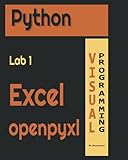 Python Lab1 Excel Openpyxl Visual Programming Python Labs