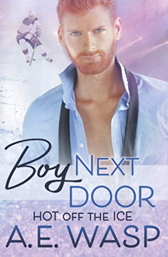 Boy Next Door book cover