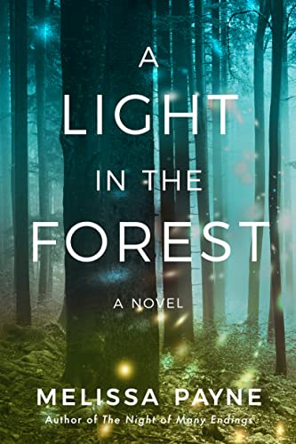 A Light in the Forest book cover