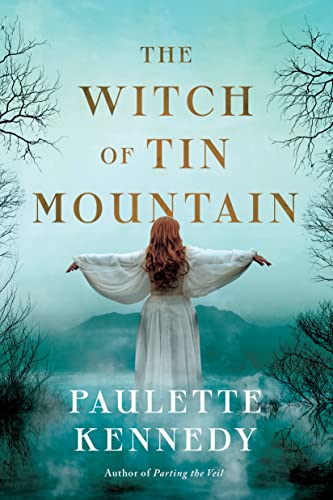 The Witch of Tin Mountain cover