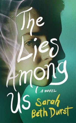 The Lies Among Us book cover
