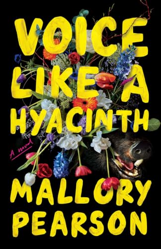 Voice Like a Hyacinth book cover