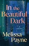 In the Beautiful Dark: A Novel