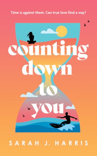 Love in Numbers book cover