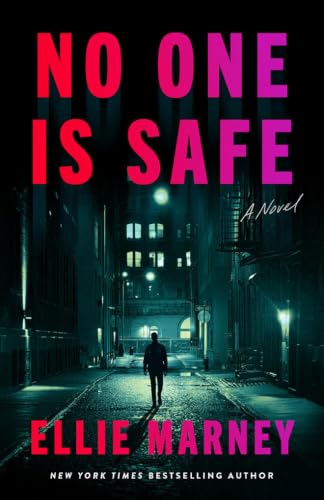 No One Is Safe book cover
