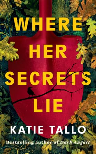 Where Her Secrets Lie book cover