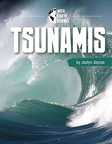 Cover of Tsunamis