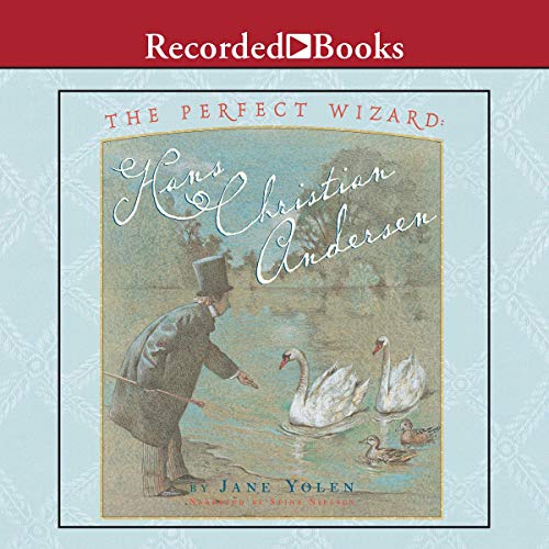 The Perfect Wizard cover
