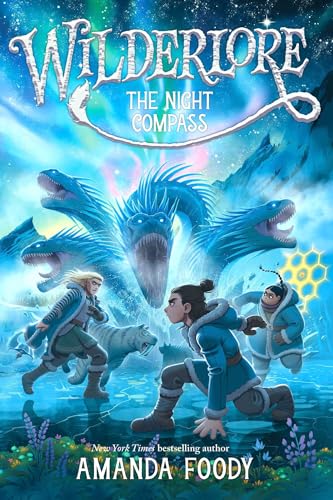 The Night Compass book cover