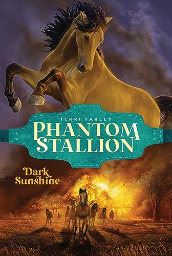 Dark Sunshine book cover