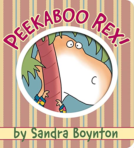 Peekaboo Rex! book cover