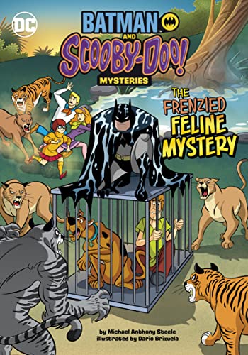 Cover of Frenzied Feline Mystery