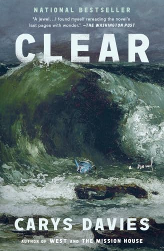 Cover of Clear: A Novel