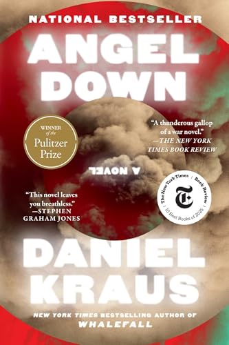 Angel Down book cover
