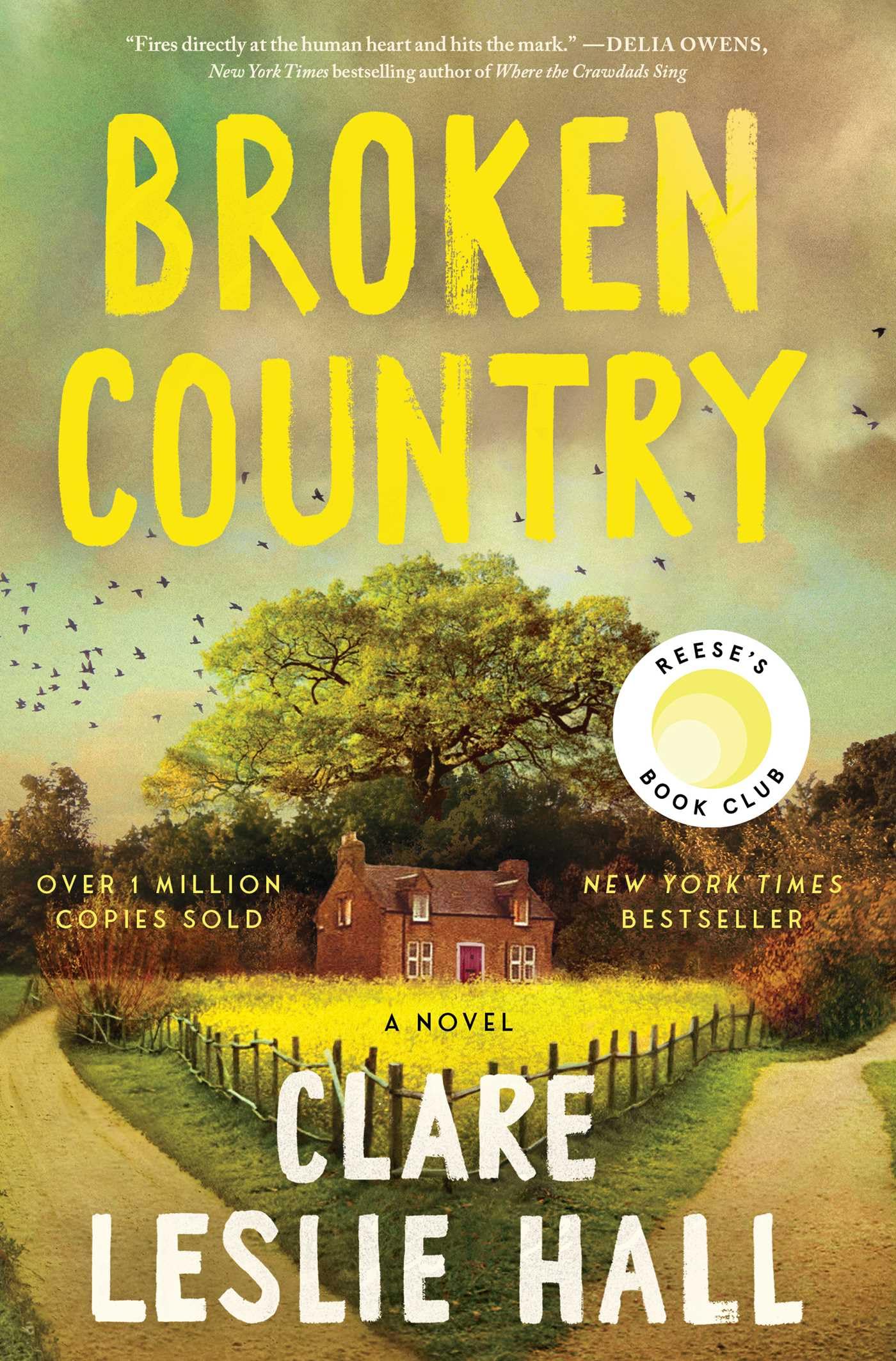 Cover of Broken Country by Clare Leslie Hall