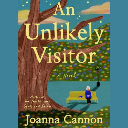 An Unlikely Visitor book cover