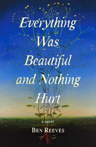 Everything Was Beautiful and Nothing Hurt book cover