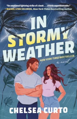 In Stormy Weather book cover