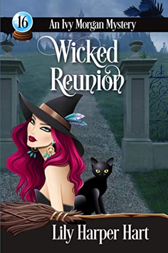 Wicked Reunion book cover