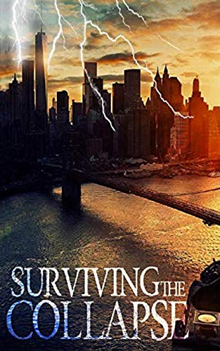 Surviving the Collapse book cover