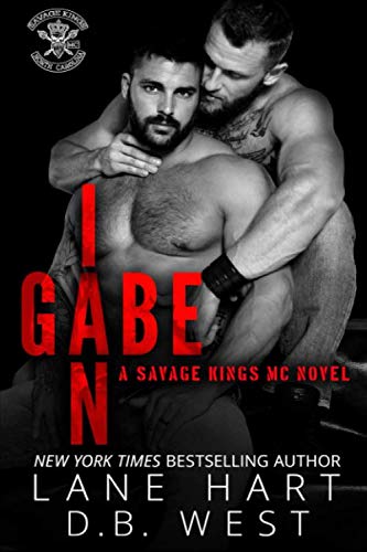 Gabe and Ian book cover
