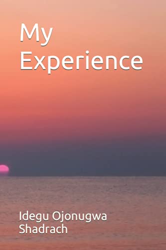 My Experience book cover