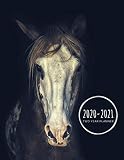 Two Year Planner 20202021 Horse Planner January 1 2020 To December 31 2021 Weekly Monthly Planner Calendar Views 2 Year Calendar 24 Month Agenda Planner Gift For Horse Lovers