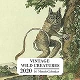 Vintage Wild Creatures 2020 16 Month Calendar Beautiful Illustrations Of Different Species Great Book Gift For Zoologists Zookeepers Primatologists Wildlife Animals Lovers