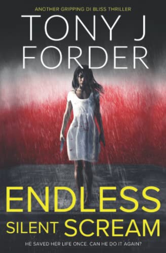 Endless Silent Scream book cover