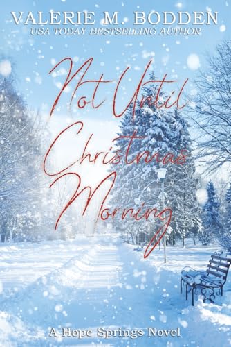 Not Until Christmas Morning / by Bodden, Valerie M