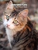 Adorable Cats Fullcolor Picture Book Cats Picture Book For Children Seniors And Alzheimers Patients Aging Parents Pets Feline Kittens Animals