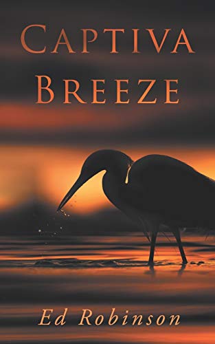 Captiva Breeze book cover
