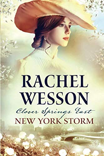 New York Storm book cover