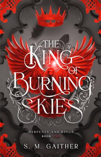 The King of Burning Skies book cover