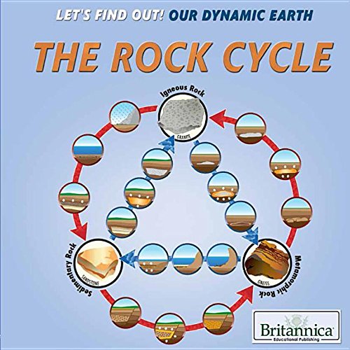 Cover of Rock Cycle