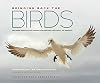 Bringing Back the Birds: Exploring Migration and Preserving Birdscapes throughout the Americas