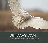 Snowy Owl A Visual Natural History