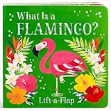 What Is A Flamingo