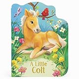 A Little Colt A Baby Horse Board Book Story