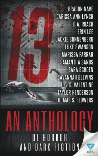 13: An Anthology of Horror and Dark Fiction book cover