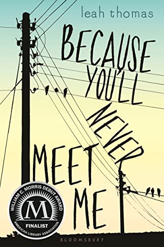 Because You'll Never Meet Me book cover