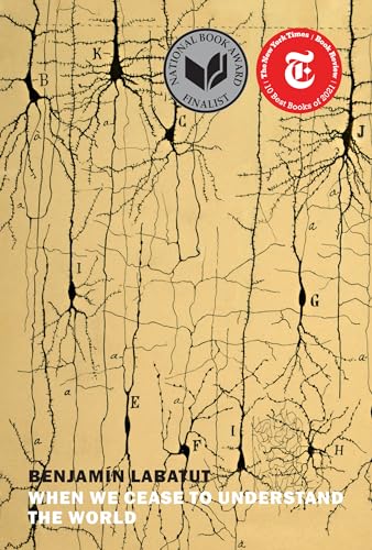 When We Cease to Understand the World cover