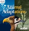 Animal Adaptations - PB439X