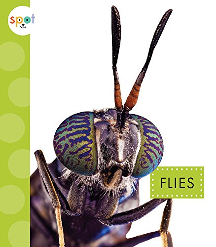 Cover of Flies