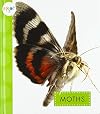 Moths (Spot Creepy Crawlies)