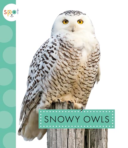 Cover of Snowy Owls