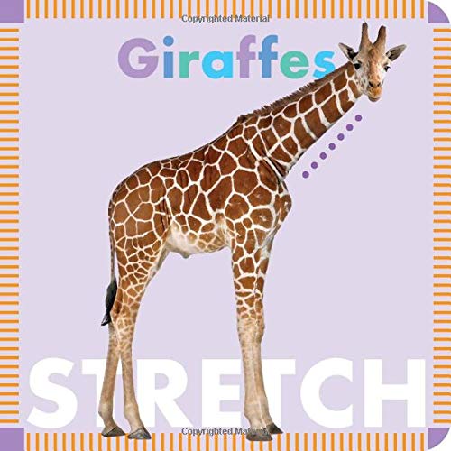 Cover of Giraffes Stretch