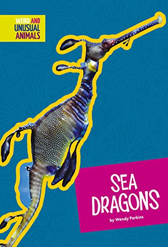 Cover of Sea Dragons