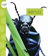 Beetles (Spot)